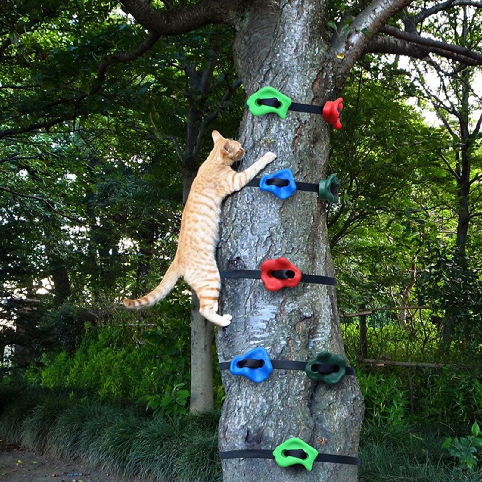 ألعاب تسلق خارجية قابلة للتعدي - مراجعة Kids Outdoor Obstacle Course Equipment وسعره